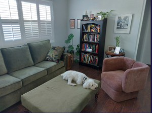 How to Train your Dog to Stop Barking in One Hour with a Window Treatment